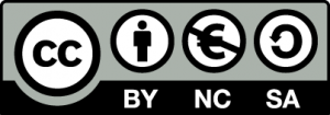 Licenza Creative Commons CC BY NC SA - Attribuzione - Non Commerciale - Condividi allo stesso modo